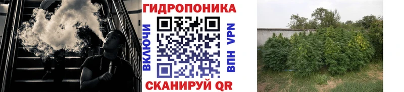 Бошки марихуана White Widow  Краснознаменск 